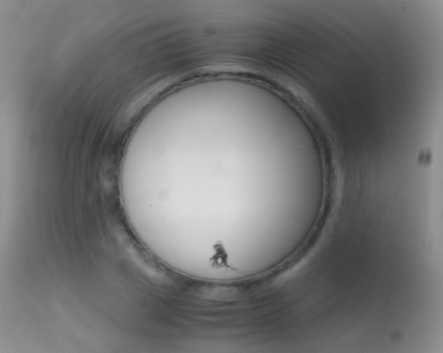 X0000113290833200909141003