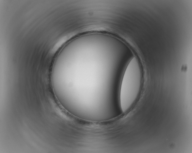 X0000113290834200909141003
