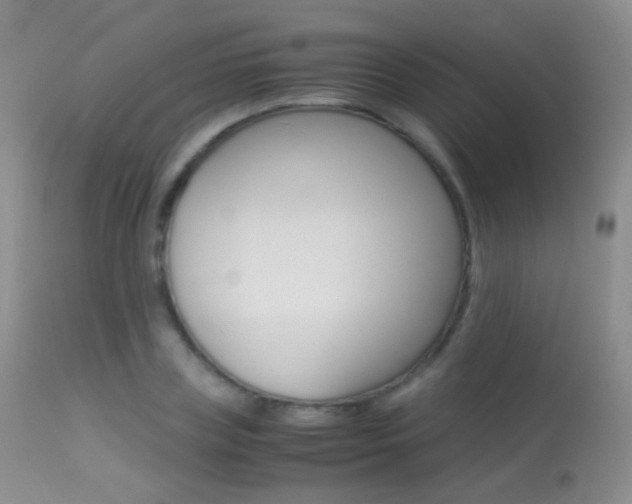 X0000113290835200909141003