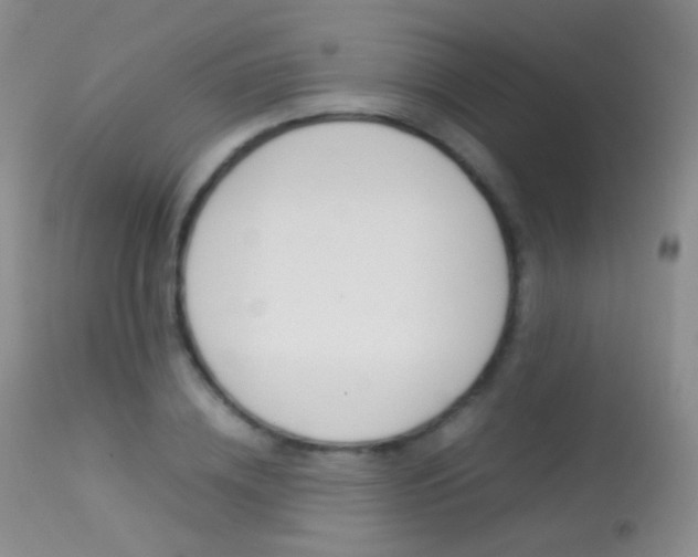 X0000113290836200909141003