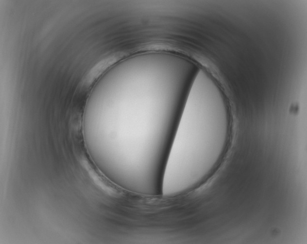 X0000113290841200909141003