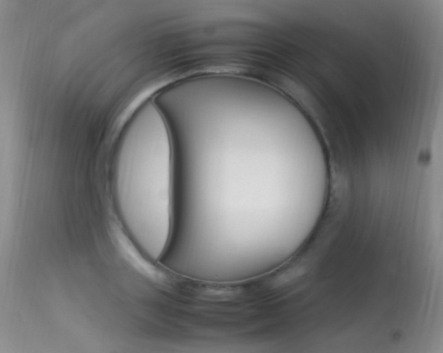 X0000113290843200909141003