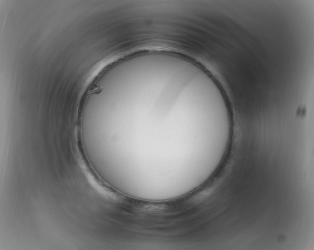 X0000113290845200909141003