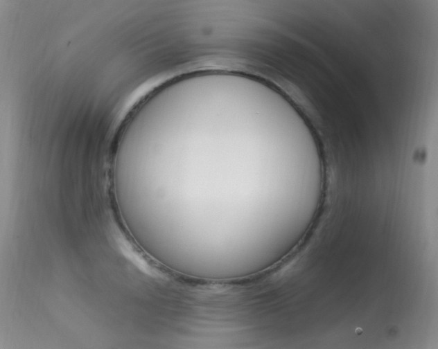 X0000113290846200909141003