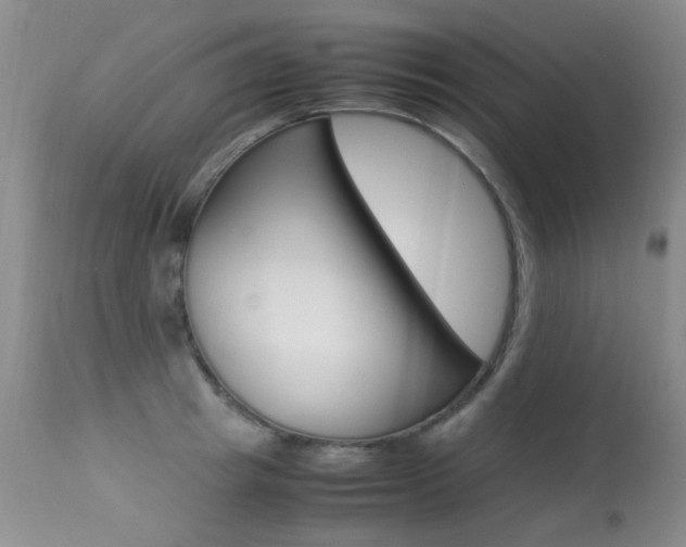 X0000113290849200909141003