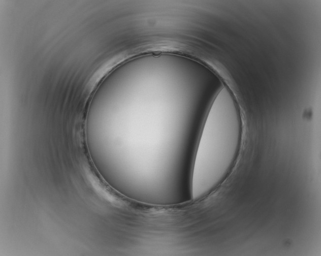 X0000113290850200909141003