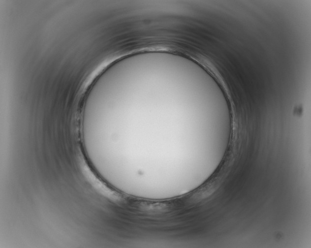 X0000113290851200909141003
