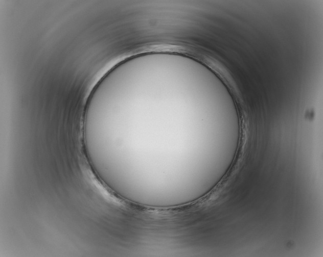 X0000113290852200909141003