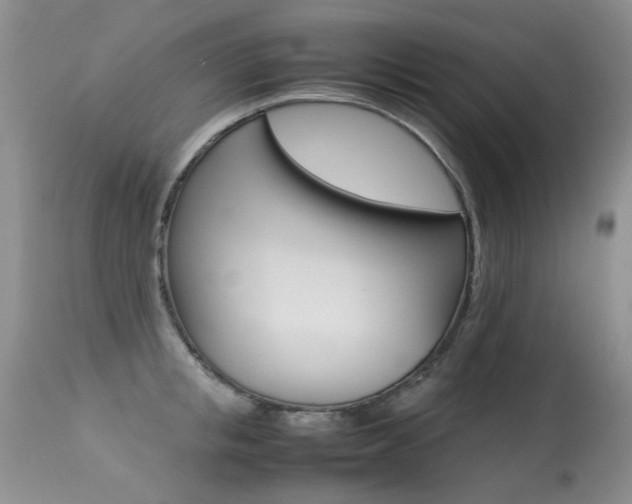 X0000113290853200909141003