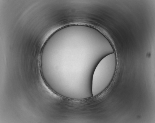 X0000113290855200909141003