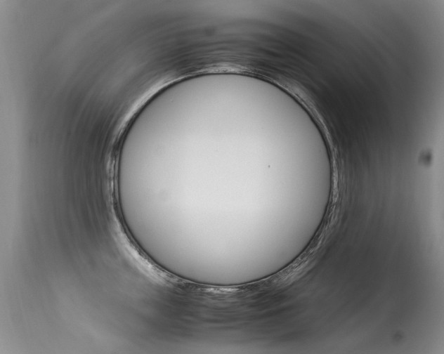 X0000113290859200909141003