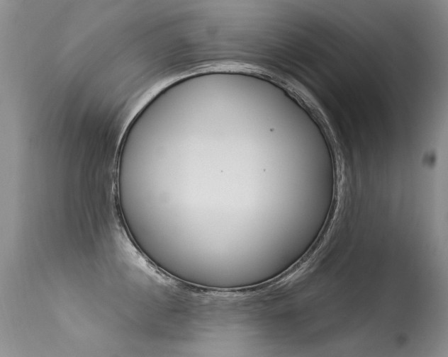 X0000113290860200909141003