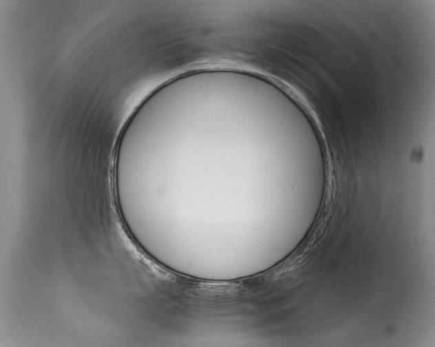 X0000113290863200909141003