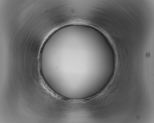 X0000113290864200909141003