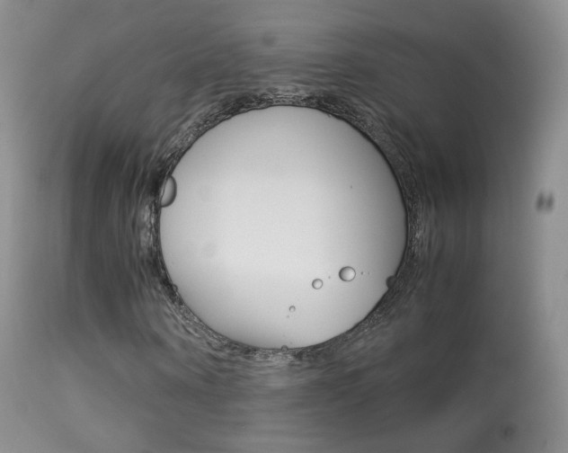 X0000113290866200909141002