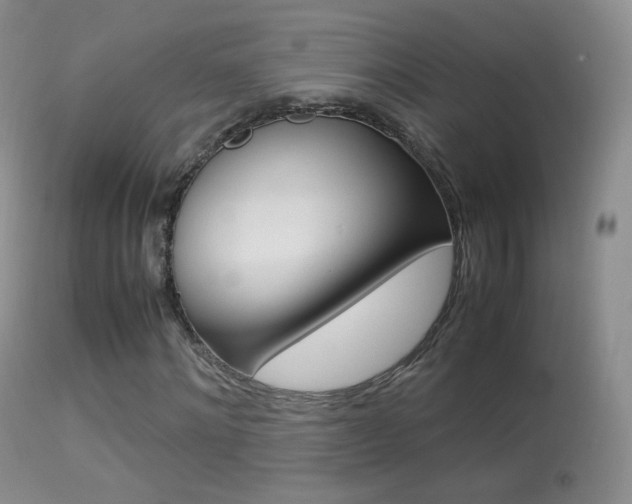X0000113290868200909141002