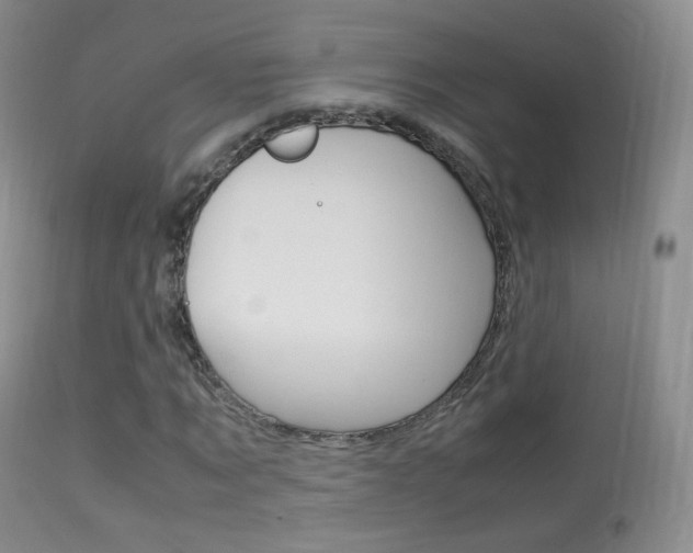 X0000113290869200909141002