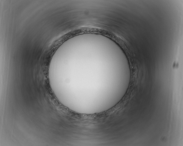 X0000113290870200909141002