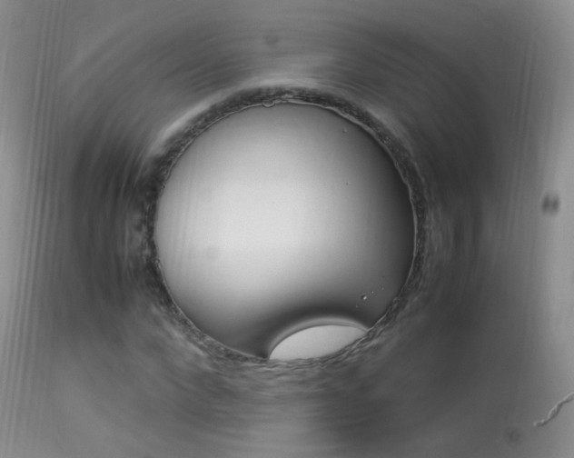 X0000113290872200909141002