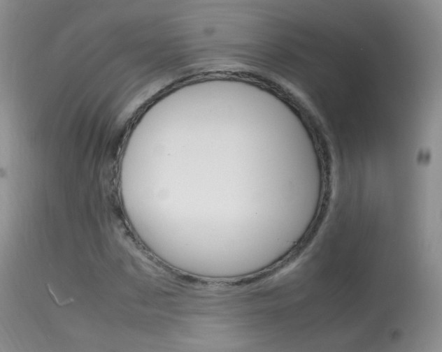 X0000113290873200909141002