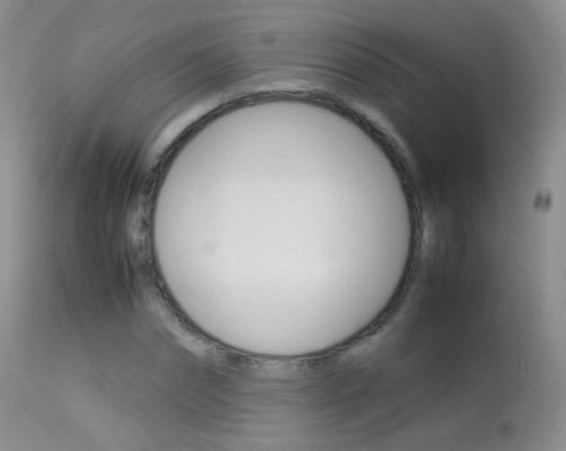 X0000113290874200909141002