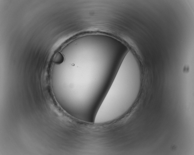 X0000113290876200909141002