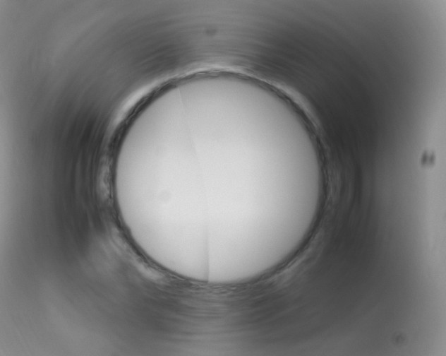 X0000113290878200909141002