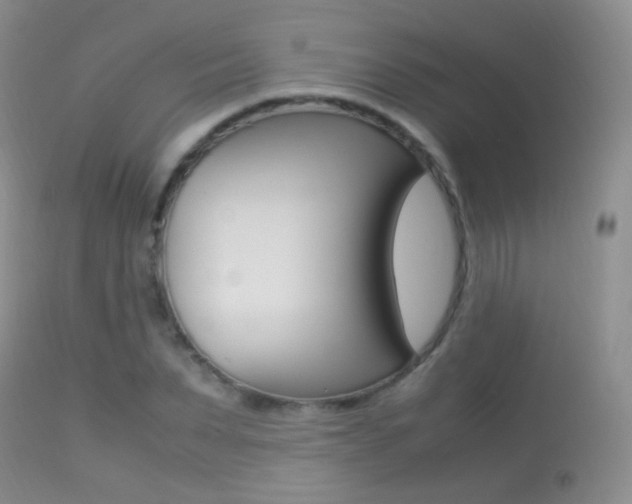 X0000113290879200909141002