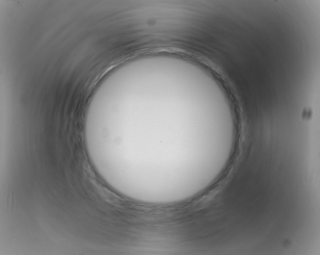 X0000113290881200909141002