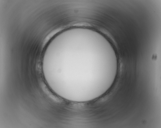 X0000113290882200909141002