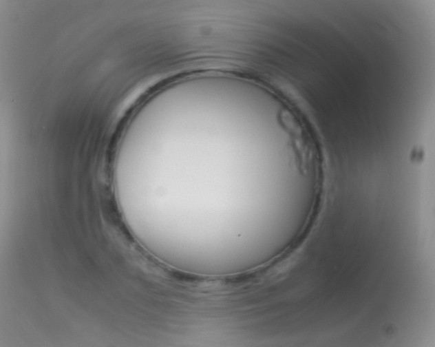 X0000113290883200909141002