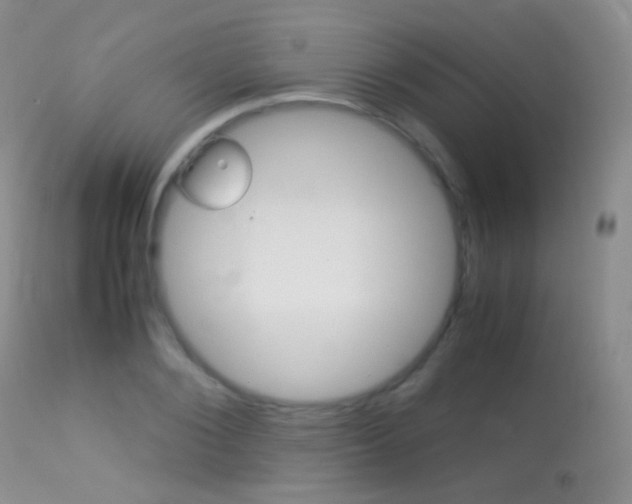X0000113290884200909141002