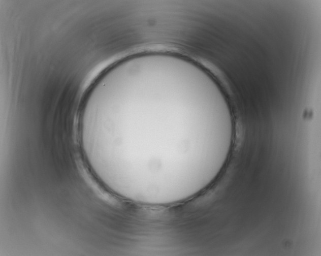 X0000113290886200909141002