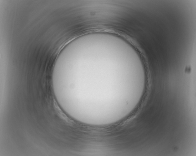 X0000113290889200909141002