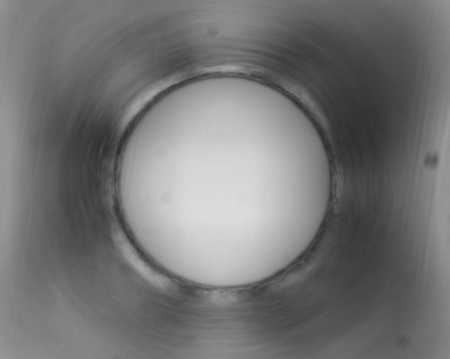 X0000113290890200909141002