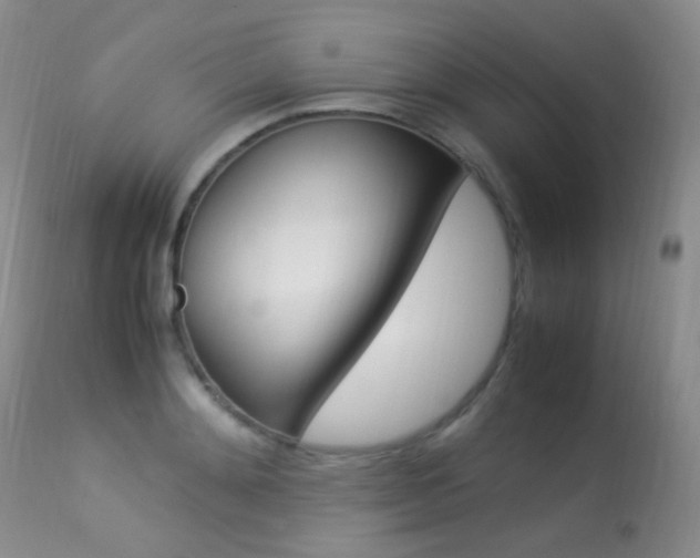 X0000113290892200909141002