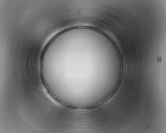 X0000113290894200909141002