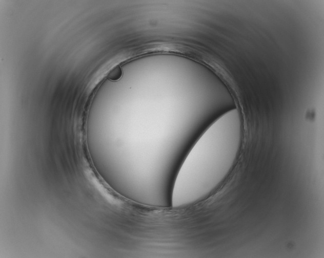 X0000113290898200909141002