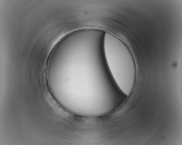 X0000113290899200909141002