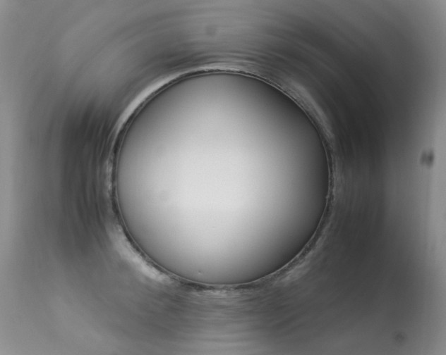 X0000113290900200909141002
