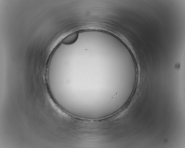 X0000113290901200909141002
