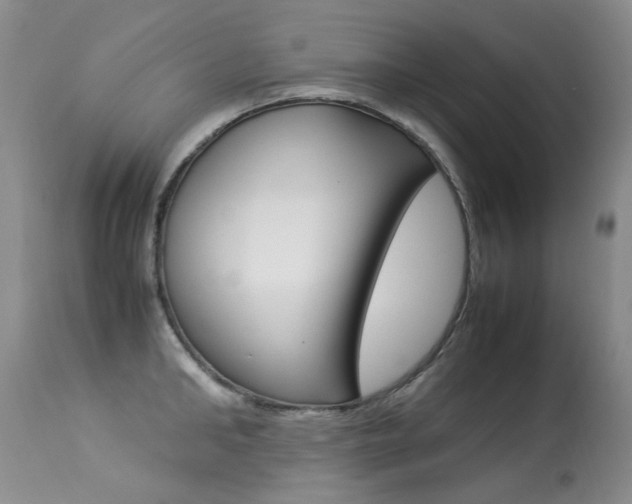 X0000113290902200909141002