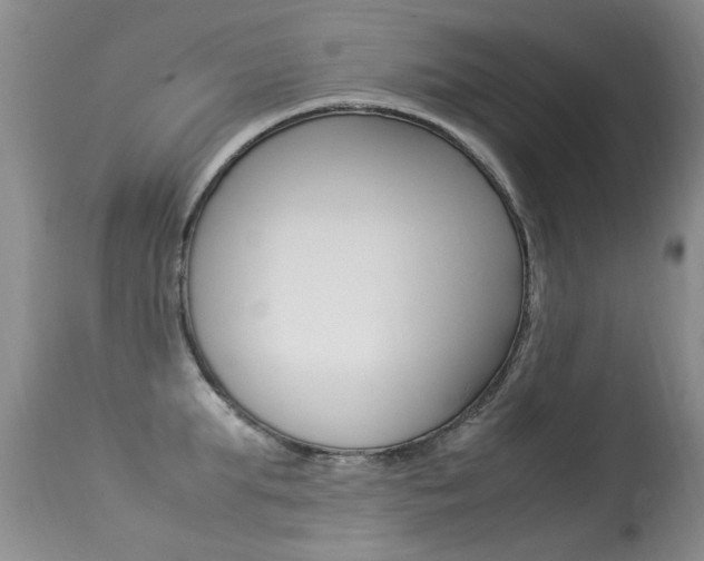 X0000113290903200909141002