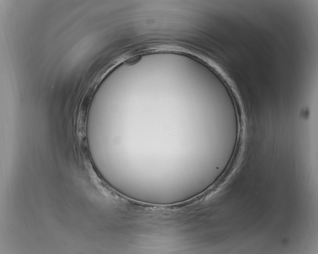 X0000113290905200909141002