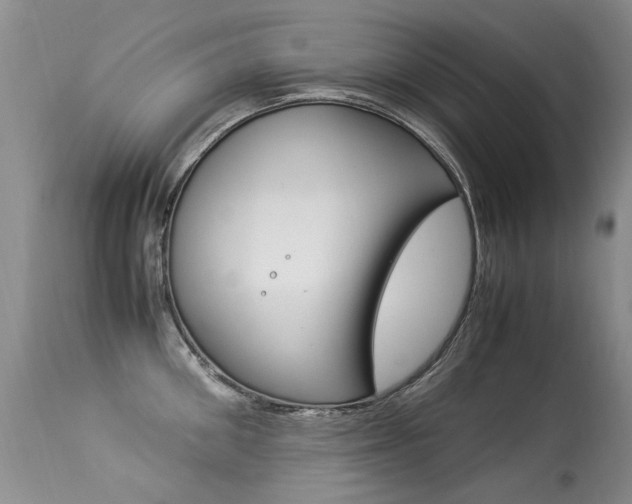 X0000113290906200909141002