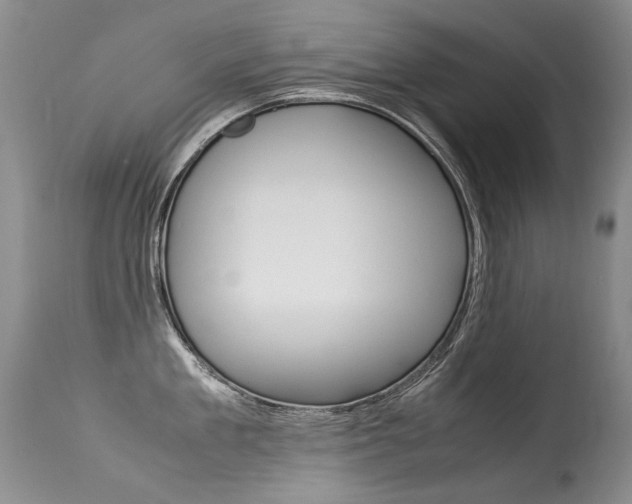 X0000113290909200909141002