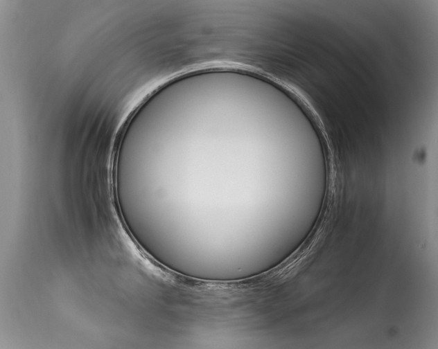 X0000113290910200909141002