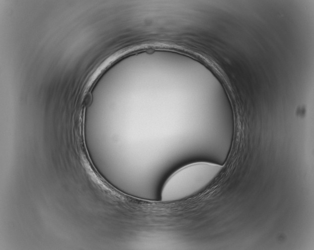 X0000113290911200909141002