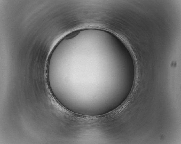 X0000113290912200909141002