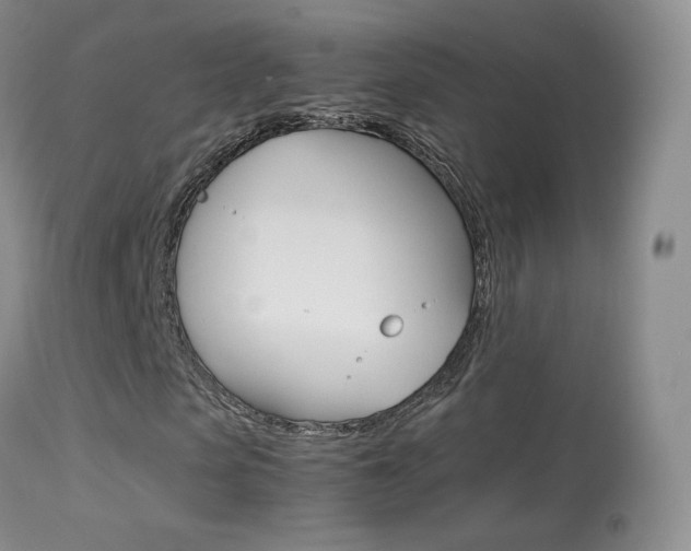X0000113290913200909141001